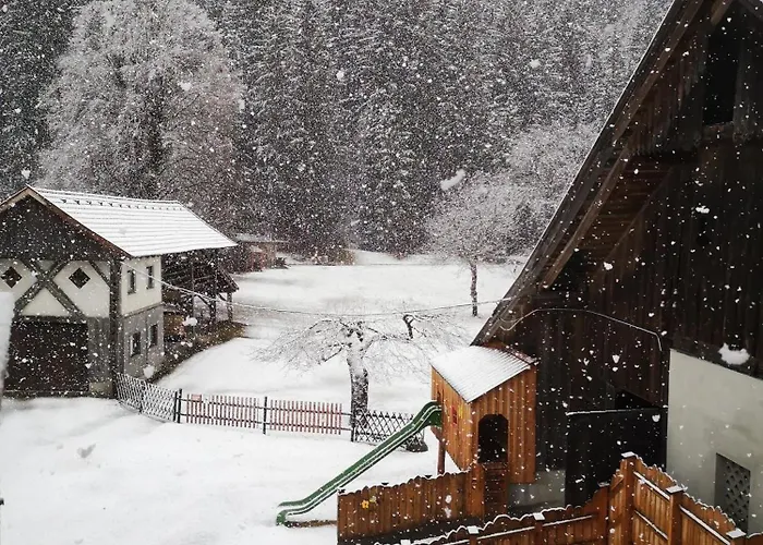 מלון Lindenhof *